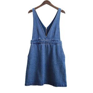 Frank and Oak Denim Mini Dress